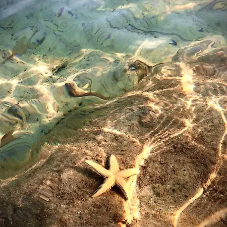 Elesta Case de vacanță Vourvourou