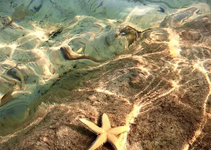 Elesta Casa de Férias Vourvourou